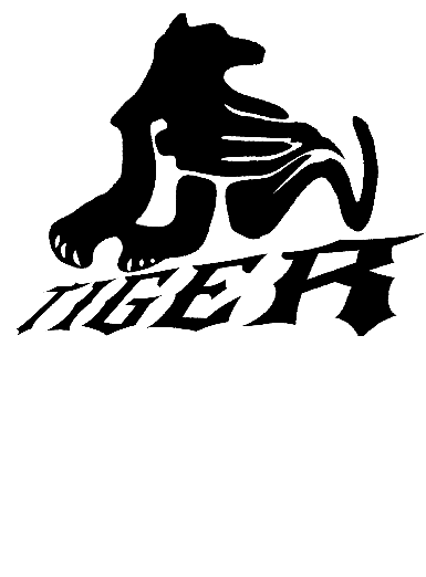 こんなカンジ 漢字 虎バージョン オリジナルtシャツのup T