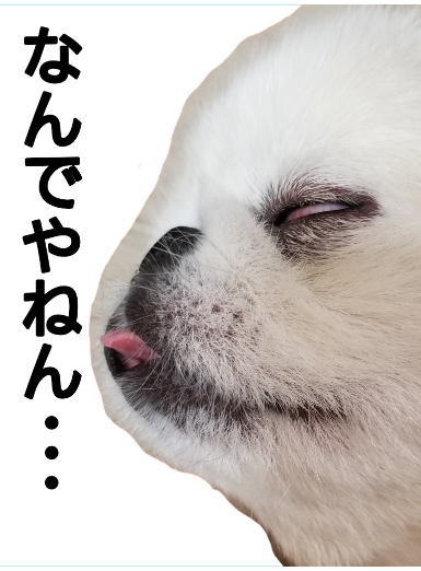 なんでやねんtシャツ オリジナルtシャツのup T