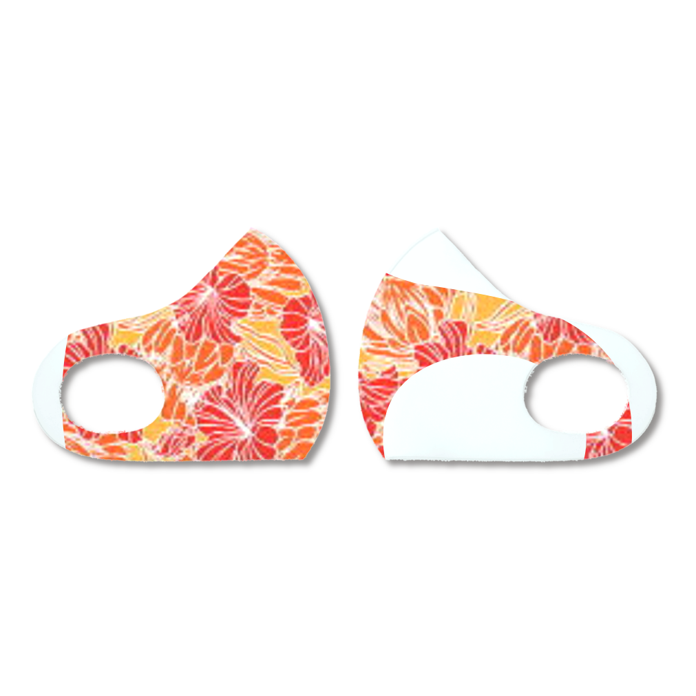 華やかなハイビスカス