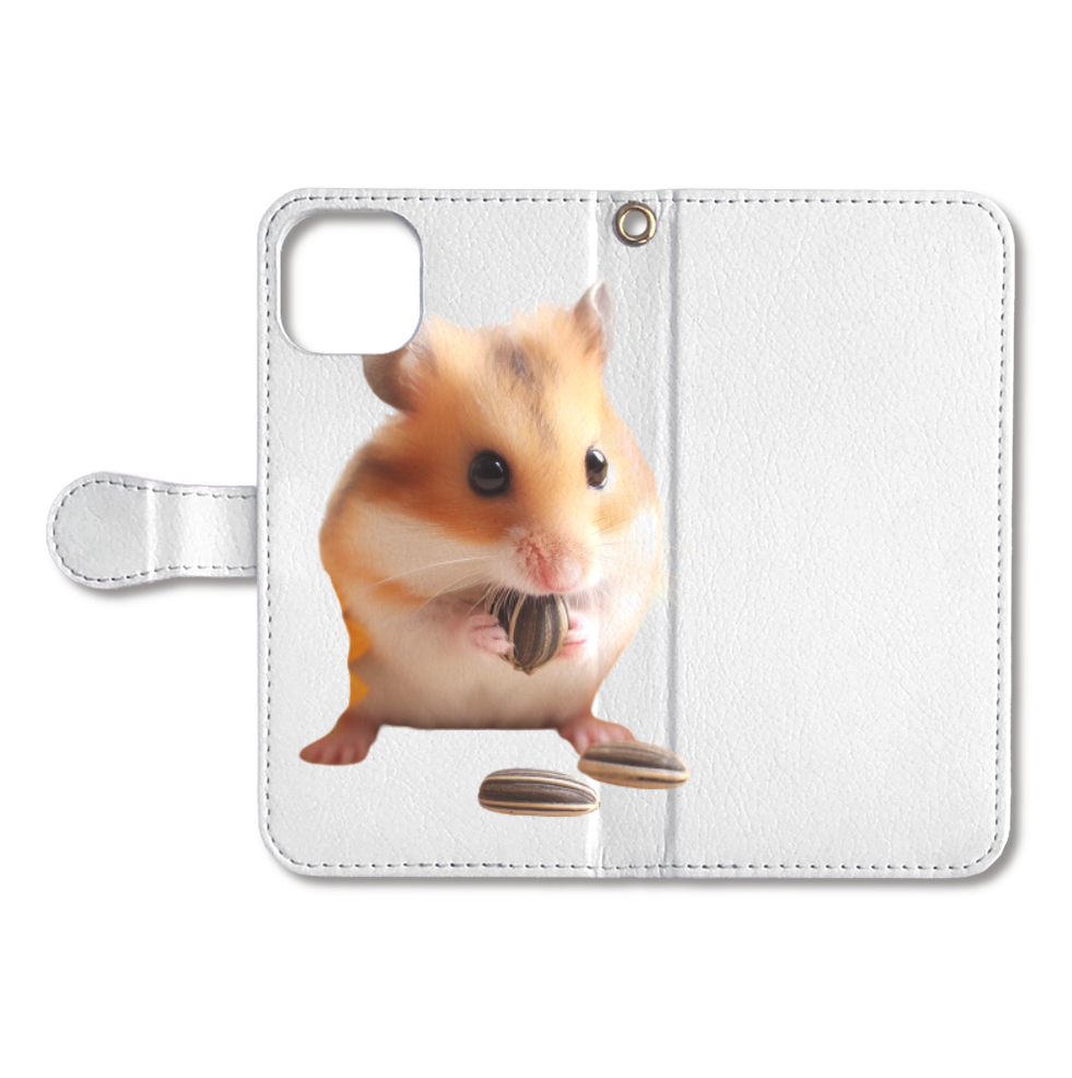 Seeds & Hamsters（種 & ハムスター）