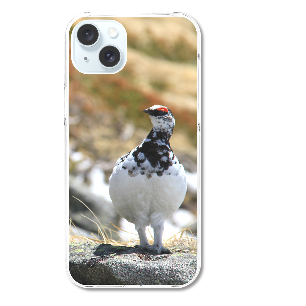 雷鳥 オス iPhone15 Plus (ハードケース)