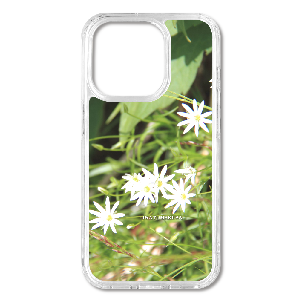 TheJAPAN33 イワツメクサ 岩爪草 sq-ip-emd-0034 iPhone15Pro MagSafe対応 耐衝撃クリアケース