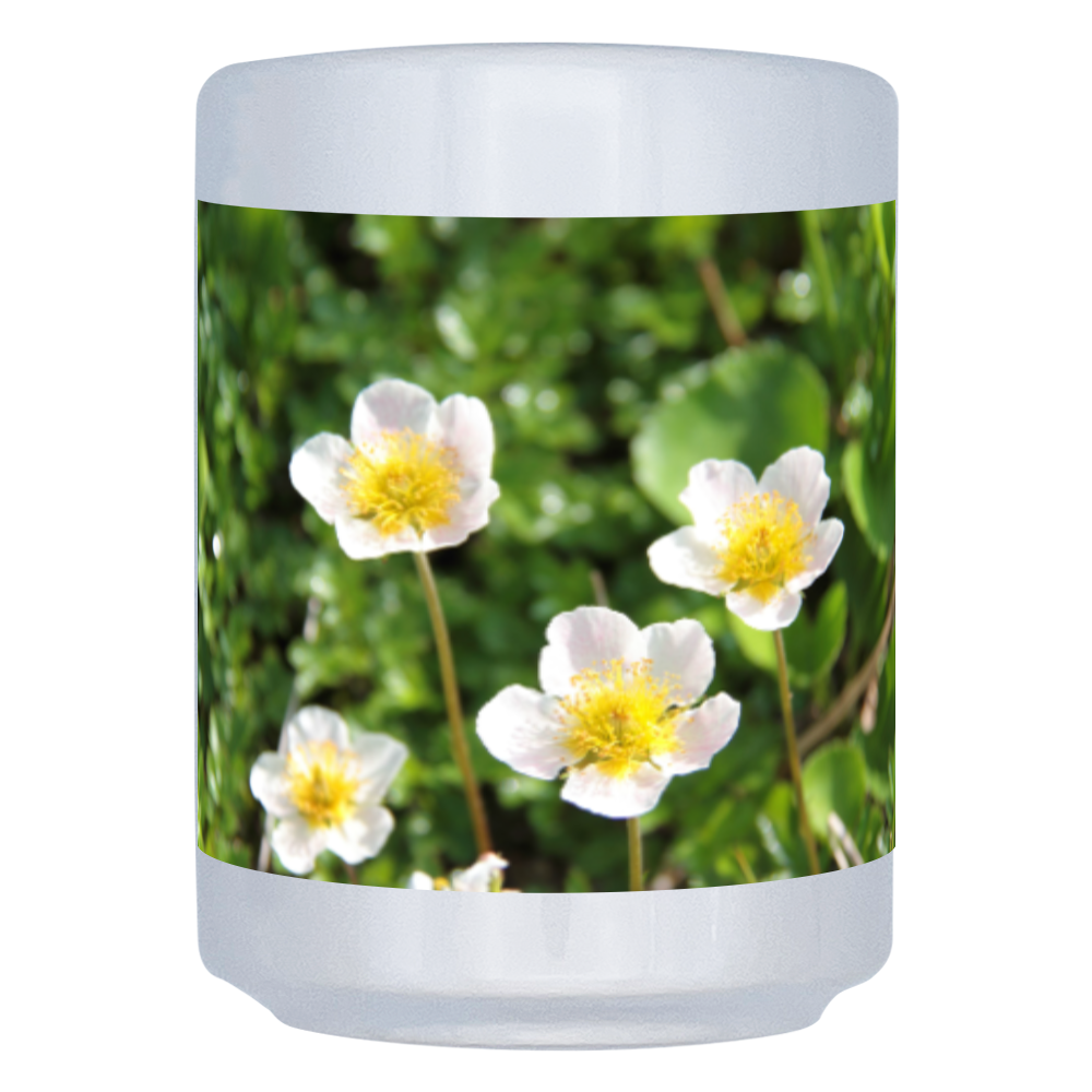 立山チングルマ 湯呑(M)