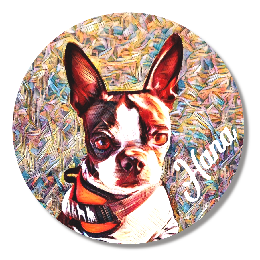 缶バッジ中(直径56㎜)