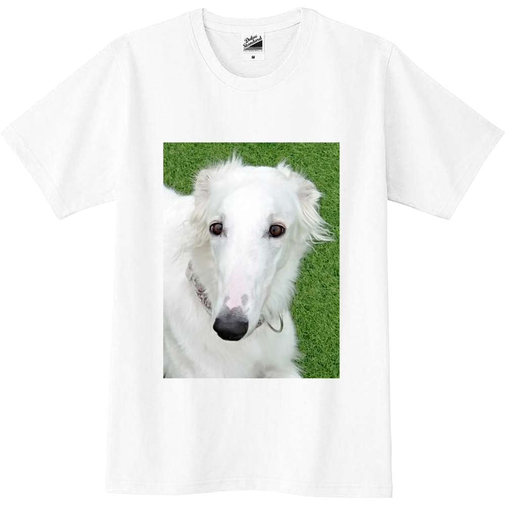 小枝だゾイ Part2 オリジナルtシャツを簡単自作 無料販売up T 最安値