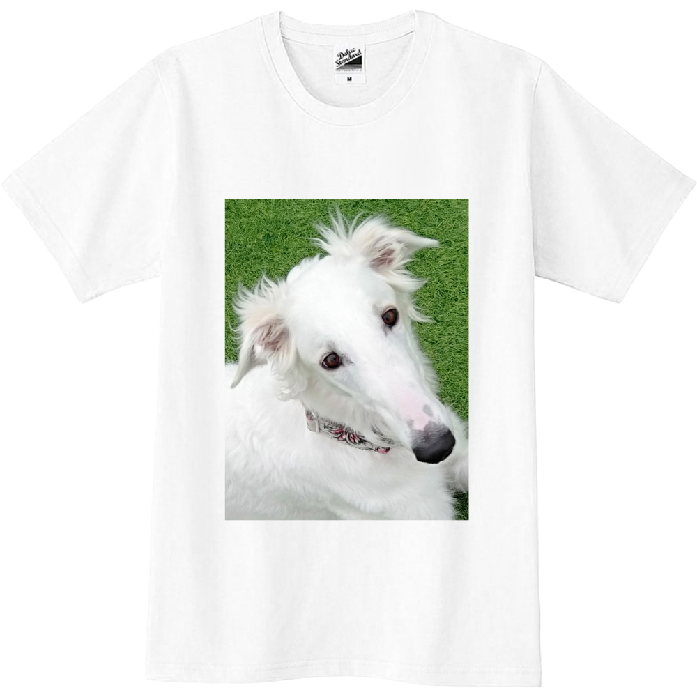 小枝だゾイ Part2 オリジナルtシャツを簡単自作 無料販売up T 最安値