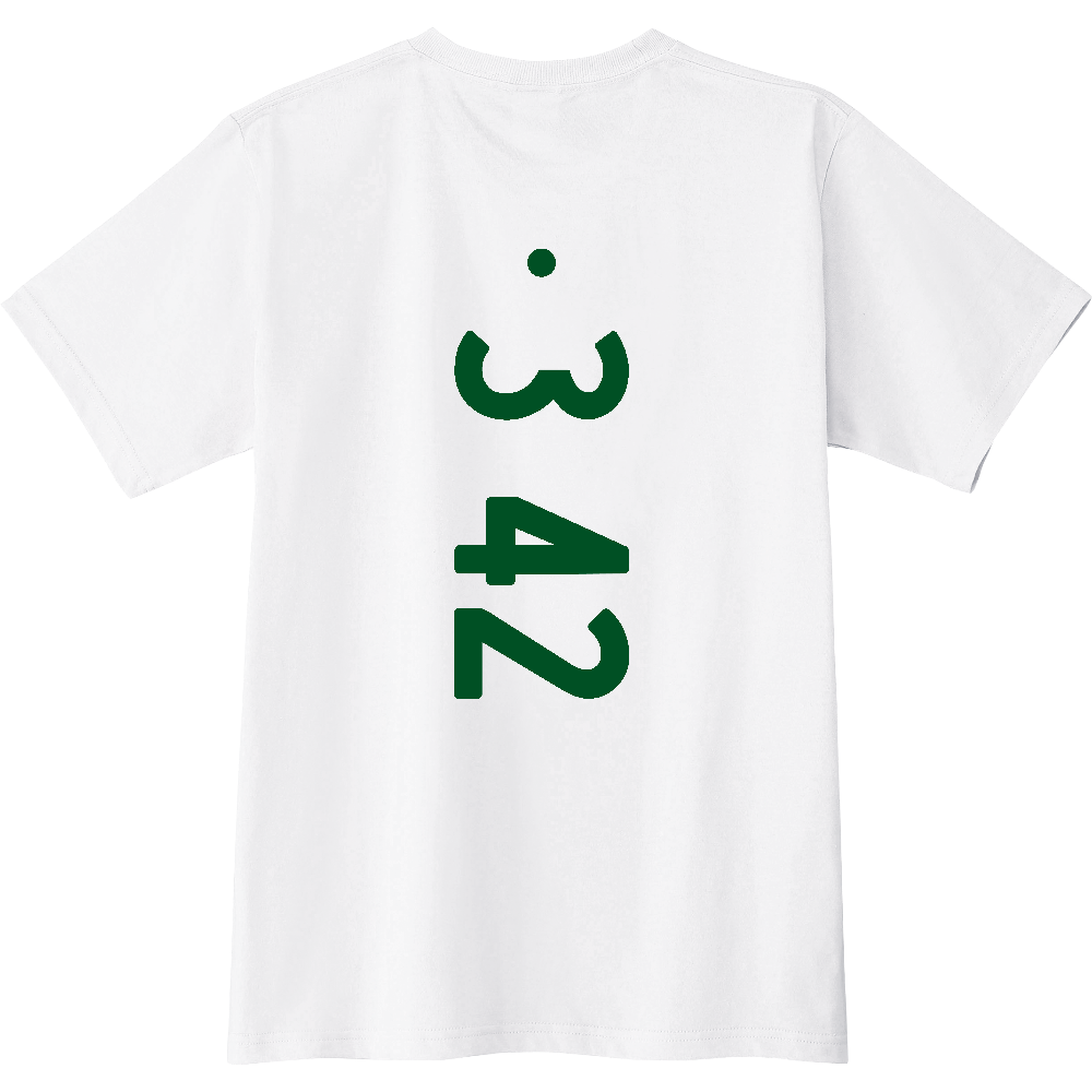 F0342 F 03-42 ナンバー 【送料無料】 背面プリント 0342 0342 ナンバー