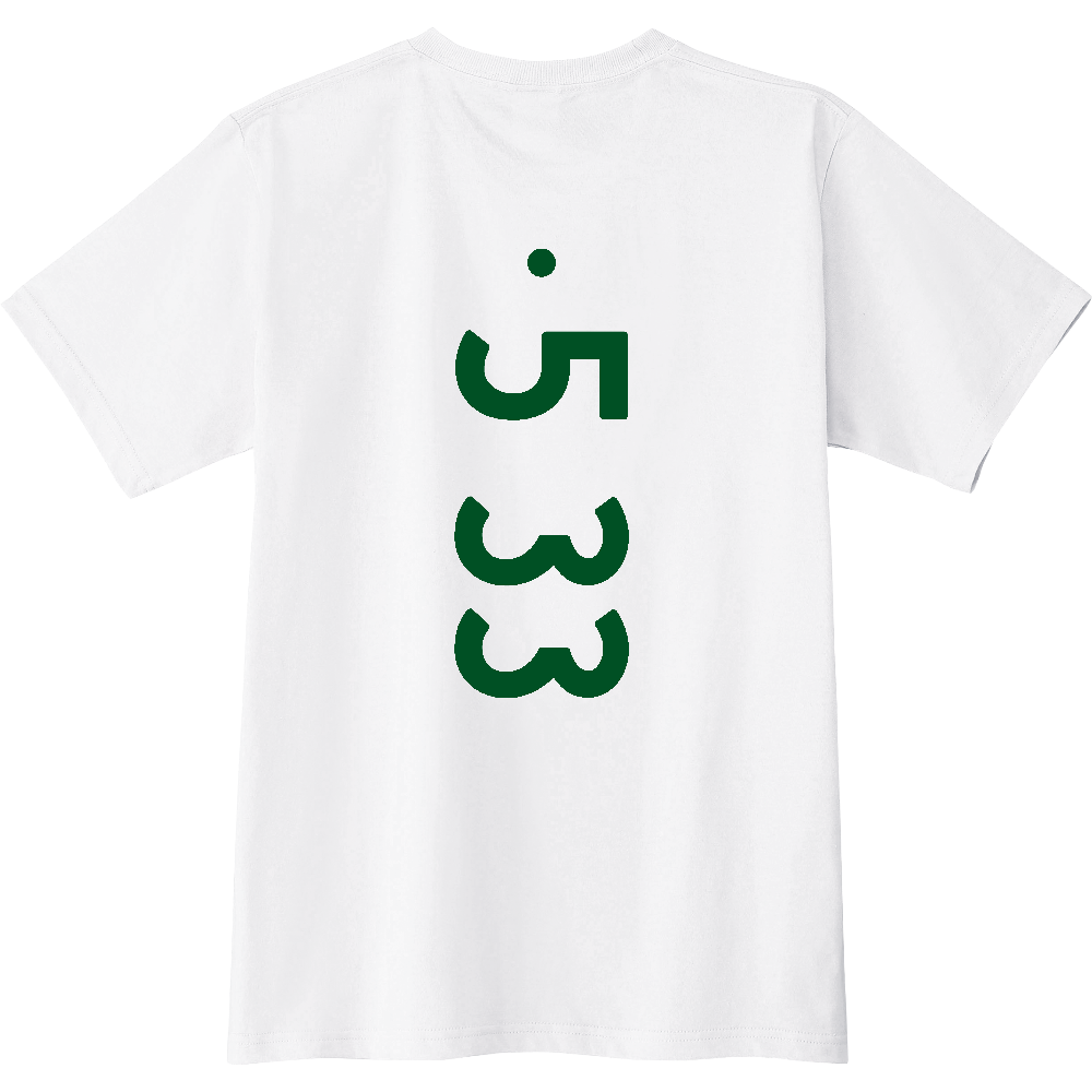 F0533 F 05-33 ナンバー 【送料無料】 背面プリント 0533 0533 ナンバー