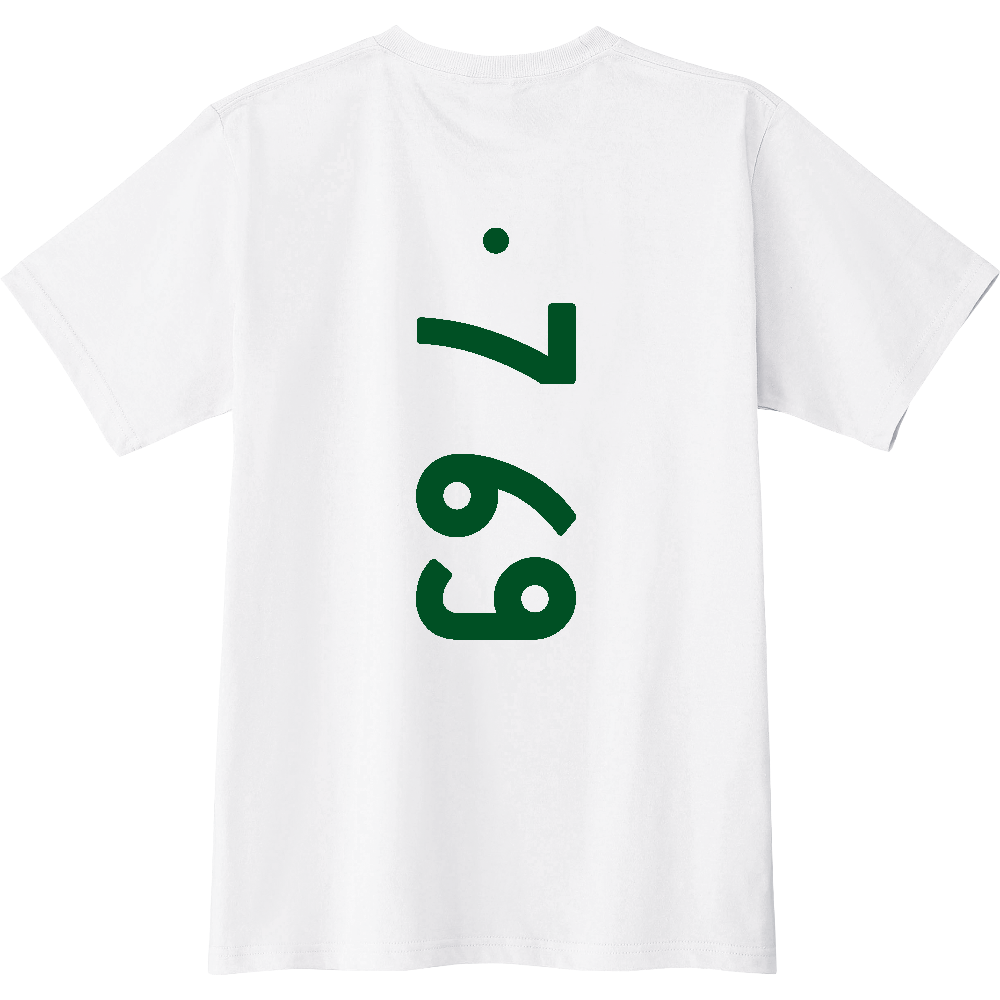 F0769 F 07-69 ナンバー 【送料無料】 背面プリント 0769 ０７６９ ナンバー