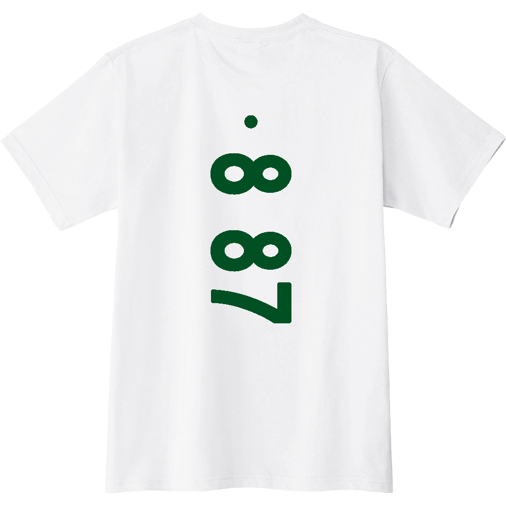 F0887 F 08-87 ナンバー 【送料無料】 背面プリント 0887 ０８８７ ナンバー