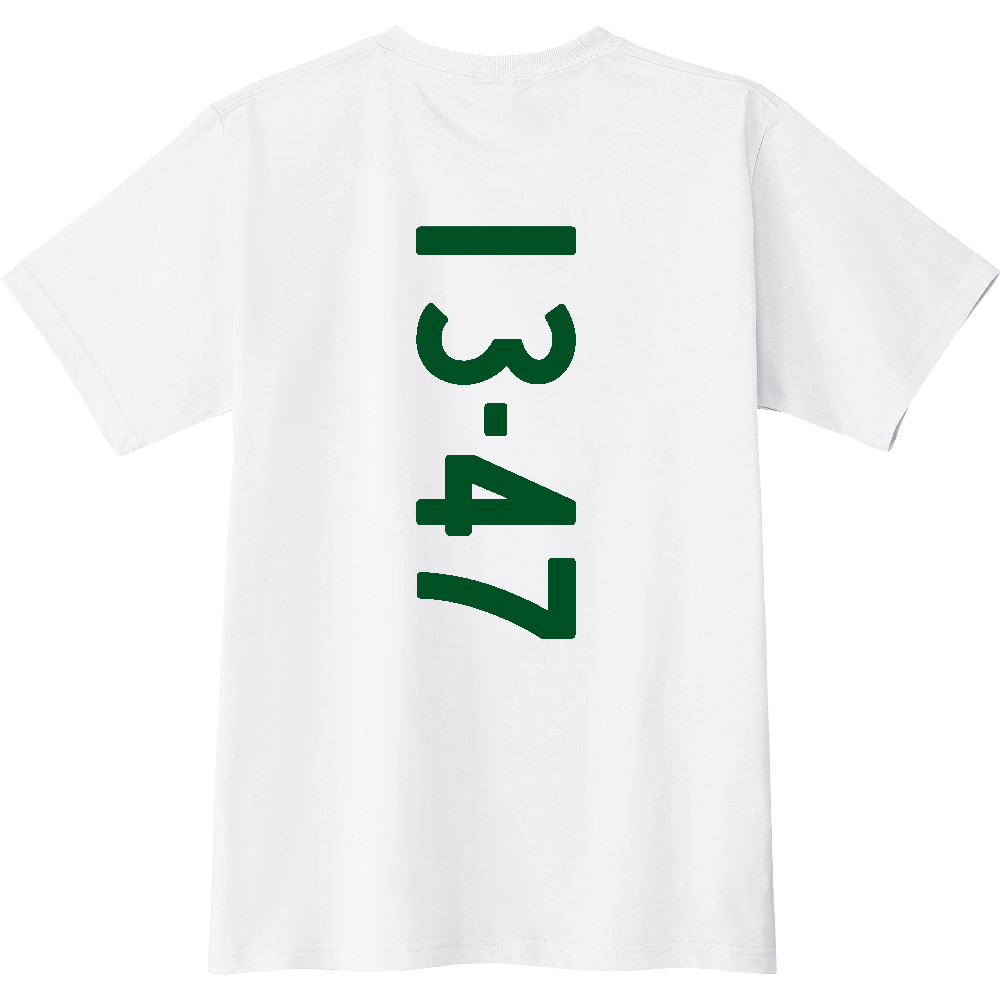 F1347 F 13-47 ナンバー 【送料無料】 背面プリント 1347 1347 ナンバー