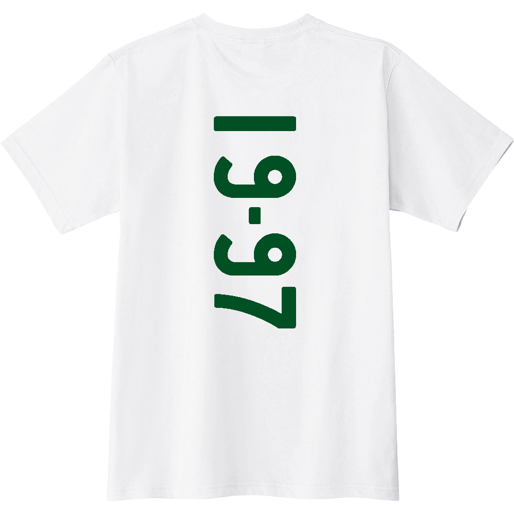 F1997 F 19-97 ナンバー 【送料無料】 背面プリント 1997 １９９７ ナンバー