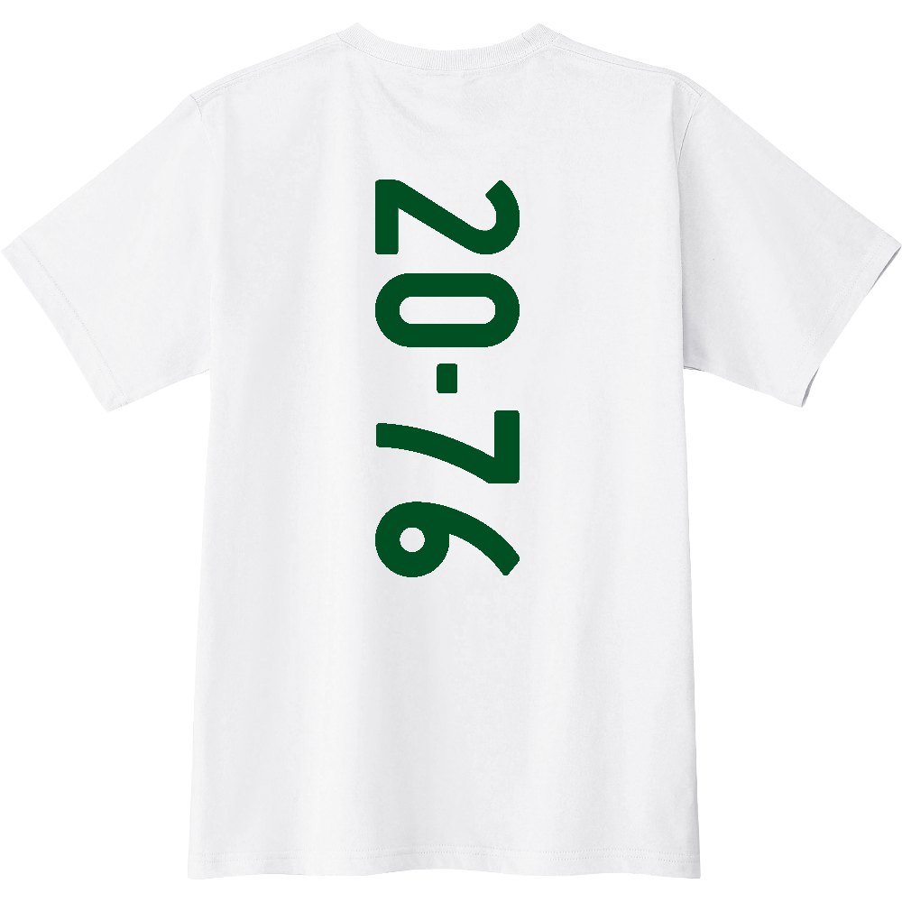 F2076 F 20-76 ナンバー 【送料無料】 背面プリント 2076 2076 ナンバー