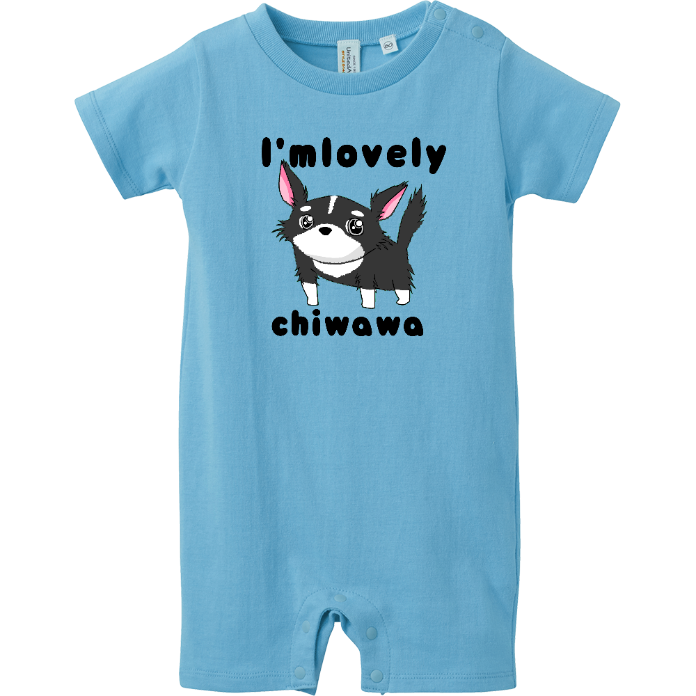 チワワちゃん ベビー服