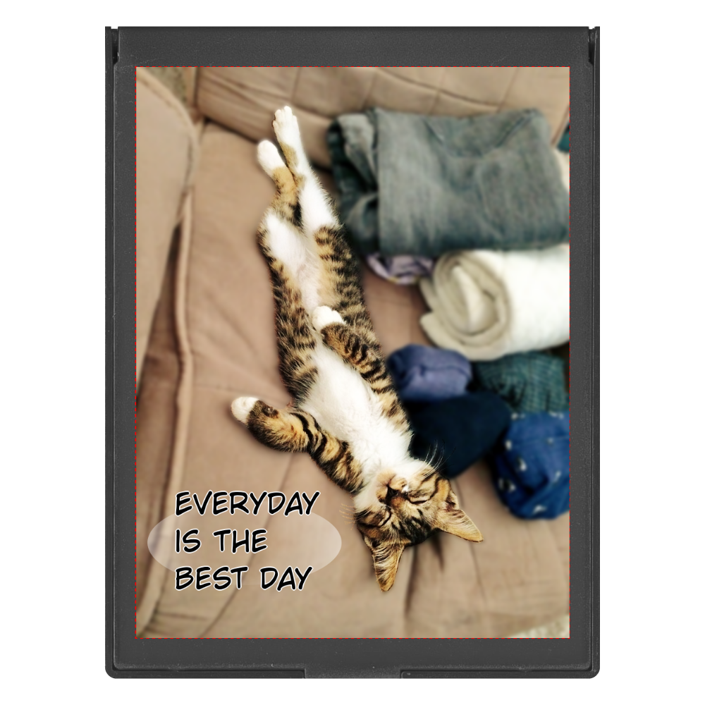 【EVERYDAY IS THE BEST DAY】毎日が最高な子猫ミラー（L）