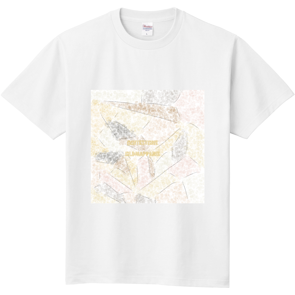 QuiteStoneOldMapParis