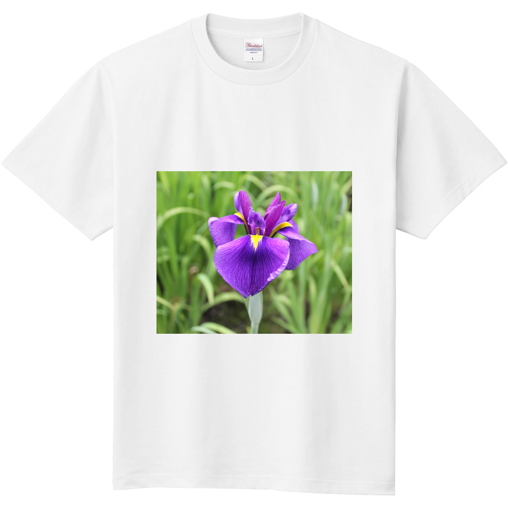 菖蒲花Tシャツ