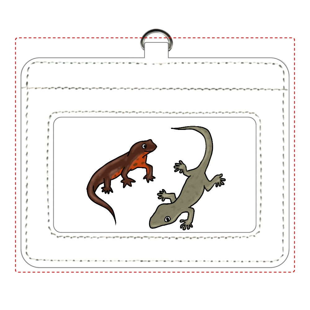 イモリとヤモリ