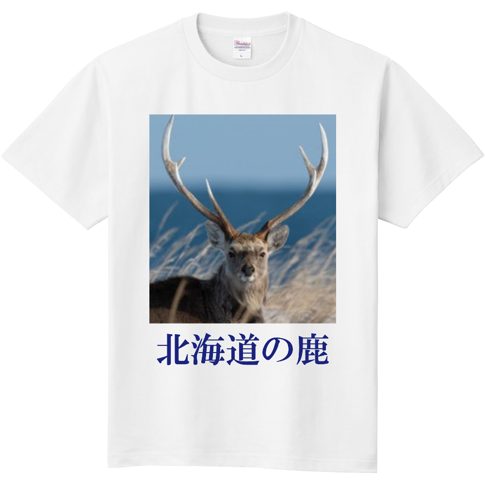 北海道の鹿 オリジナルtシャツのup T