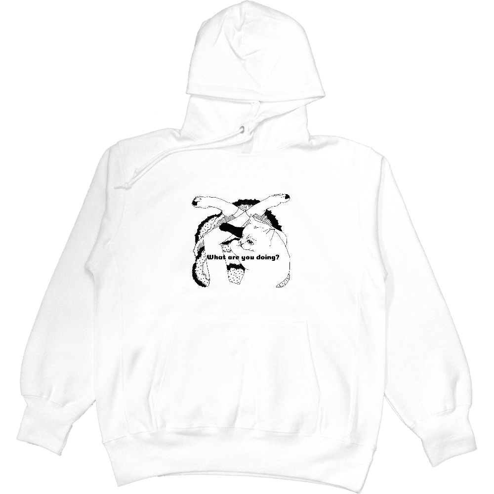 neko 足に乗るネコ　何する？