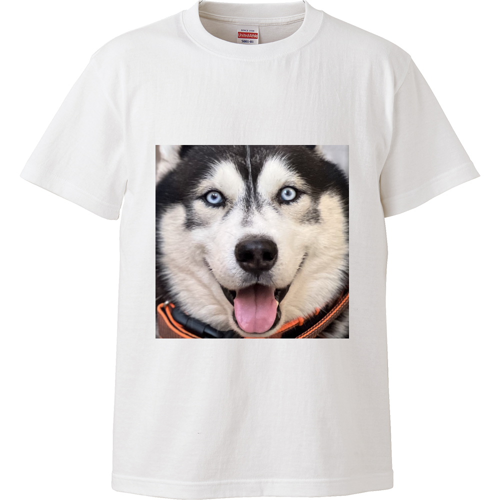 犬tシャツ シベリアハスキー XL | www.unimac.az