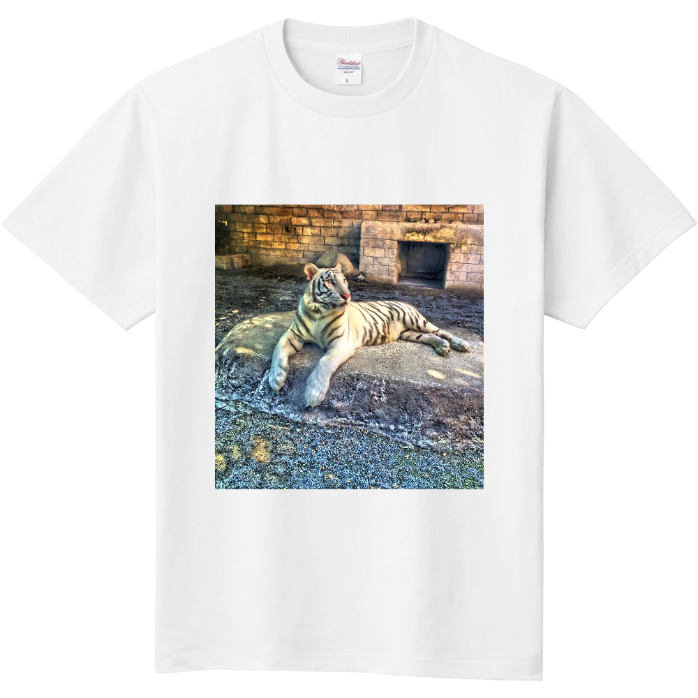 ホワイトタイガー