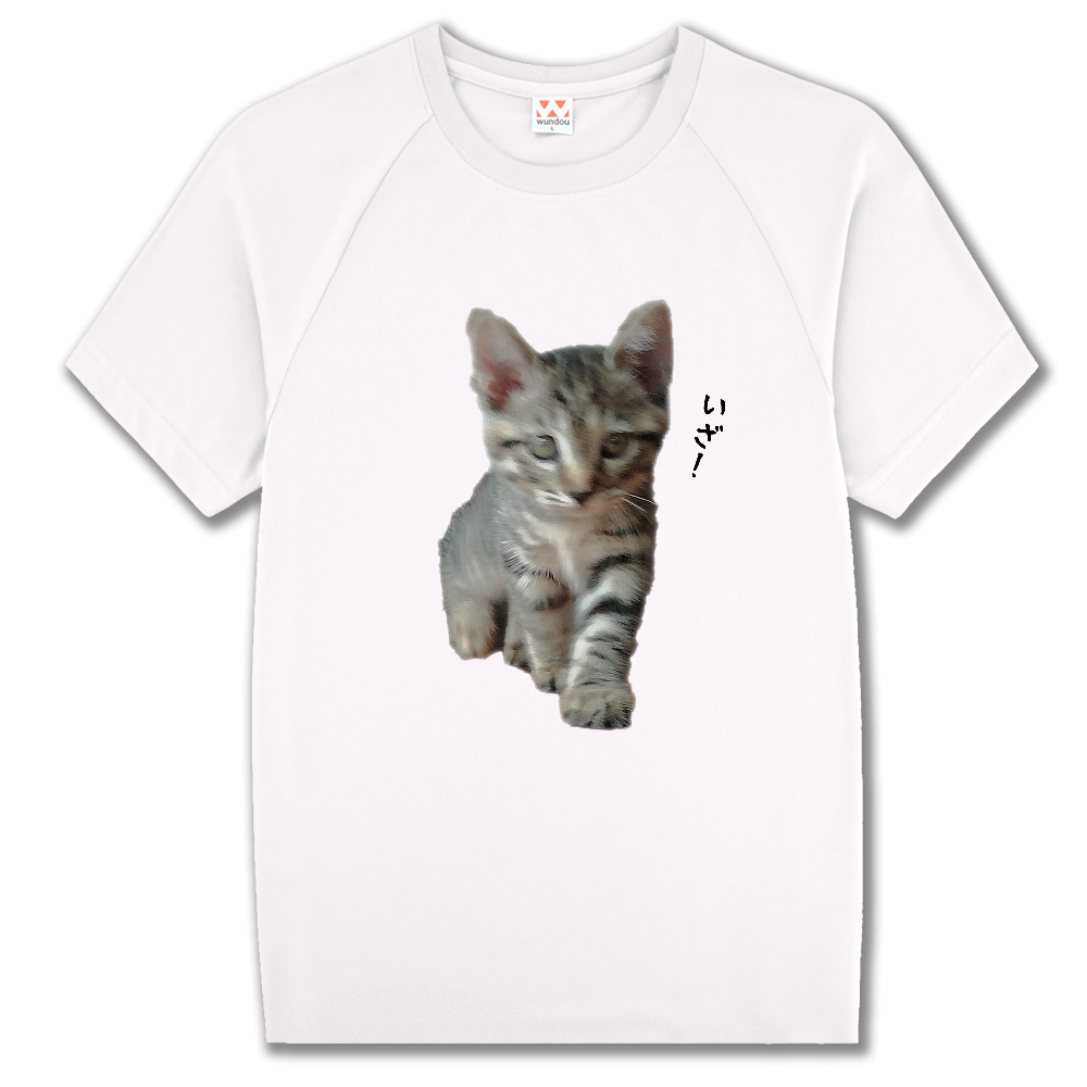 【猫ちゃん】いざ！ オリジナルtシャツのup T