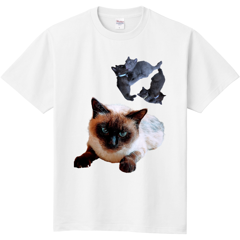 我が家のカフェラテちゃん　(猫)|オリジナルTシャツのUP-T