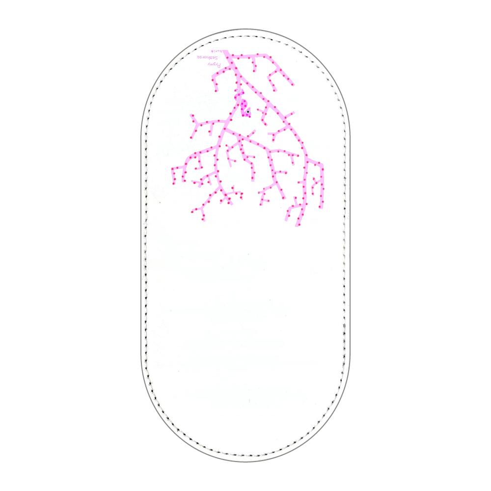 ピグミーシーホース