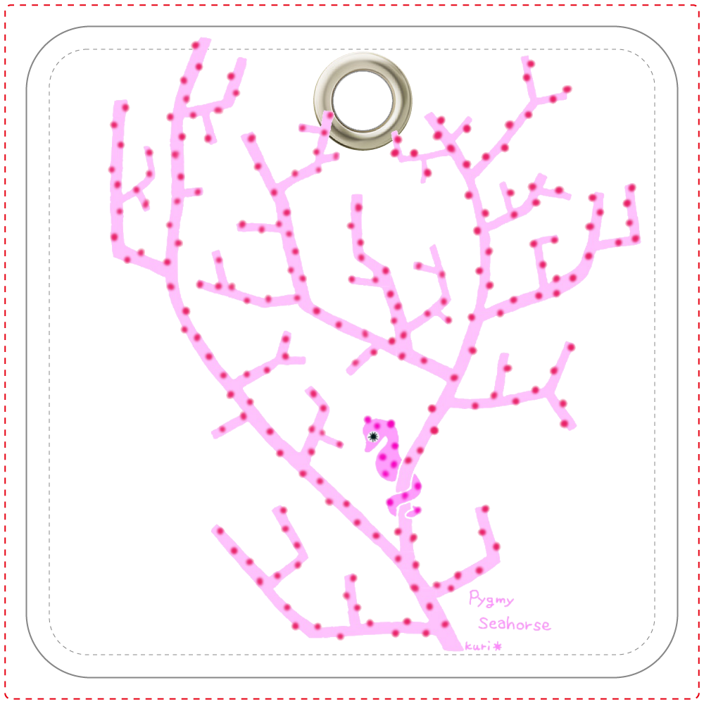 ピグミーシーホース