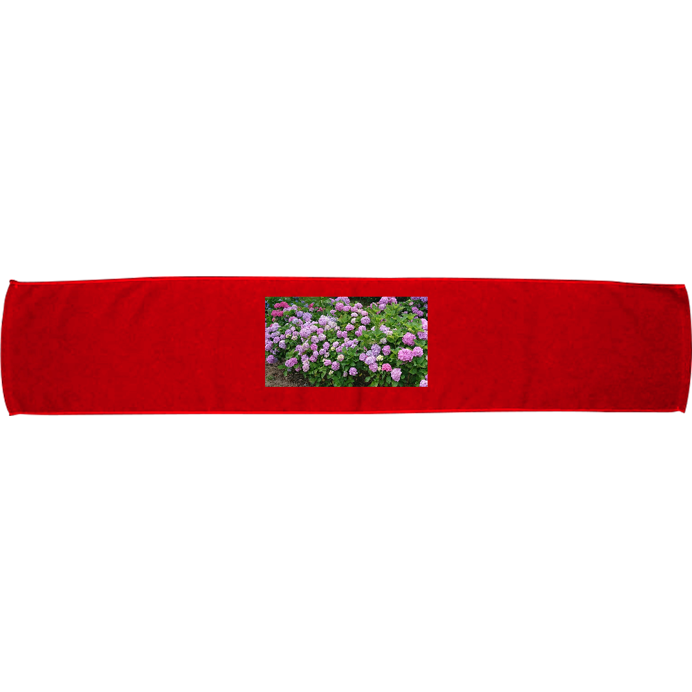 あじさい エナジー