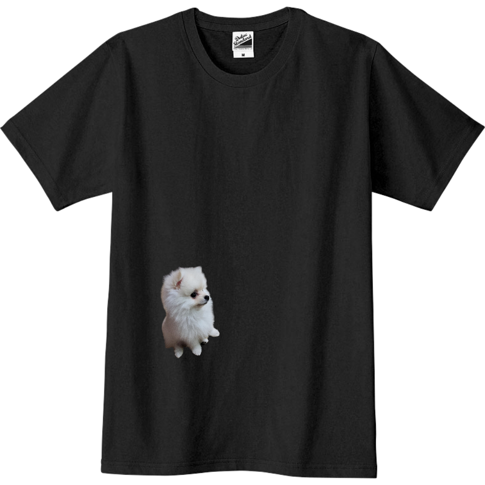 Loveポメラニアン④