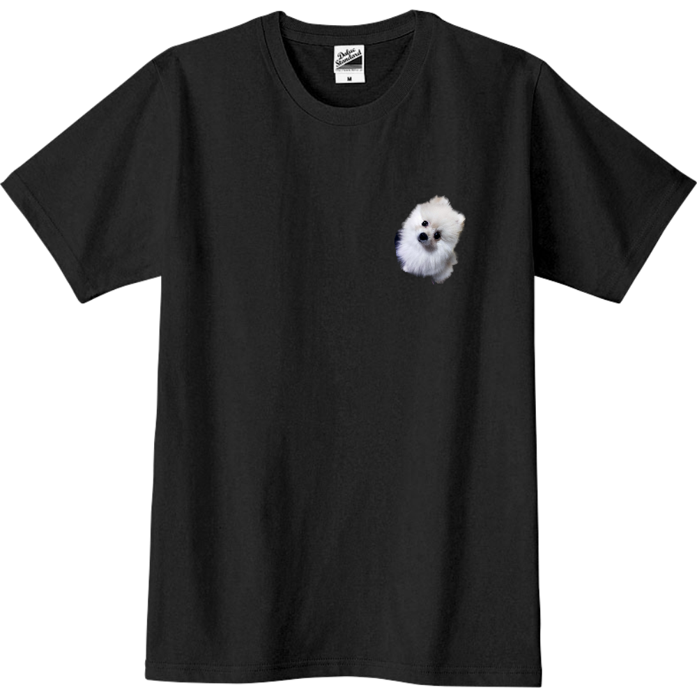 Loveポメラニアン⑤