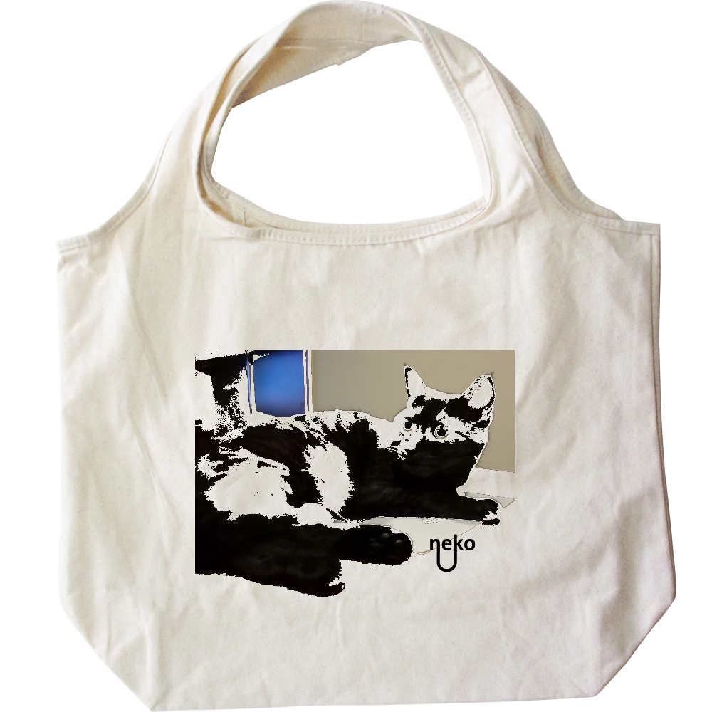 テーブルの上のネコ兄妹「妹」