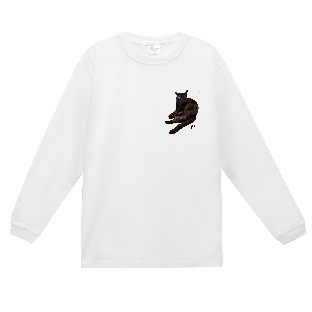 ネコ兄妹あくびちゃん