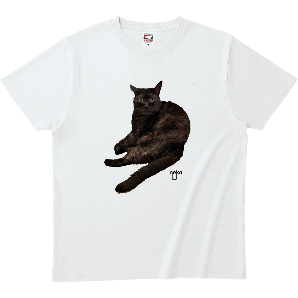 ネコ兄妹あくびちゃん