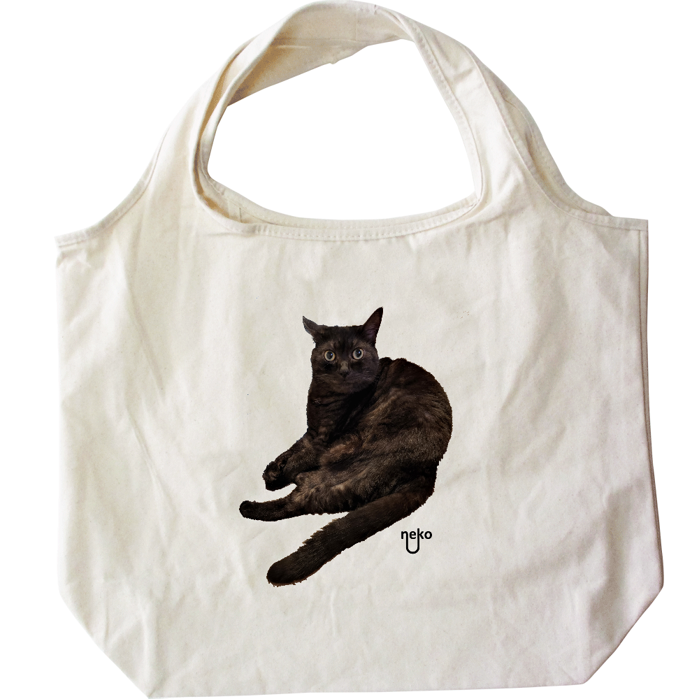 くろねこお座り