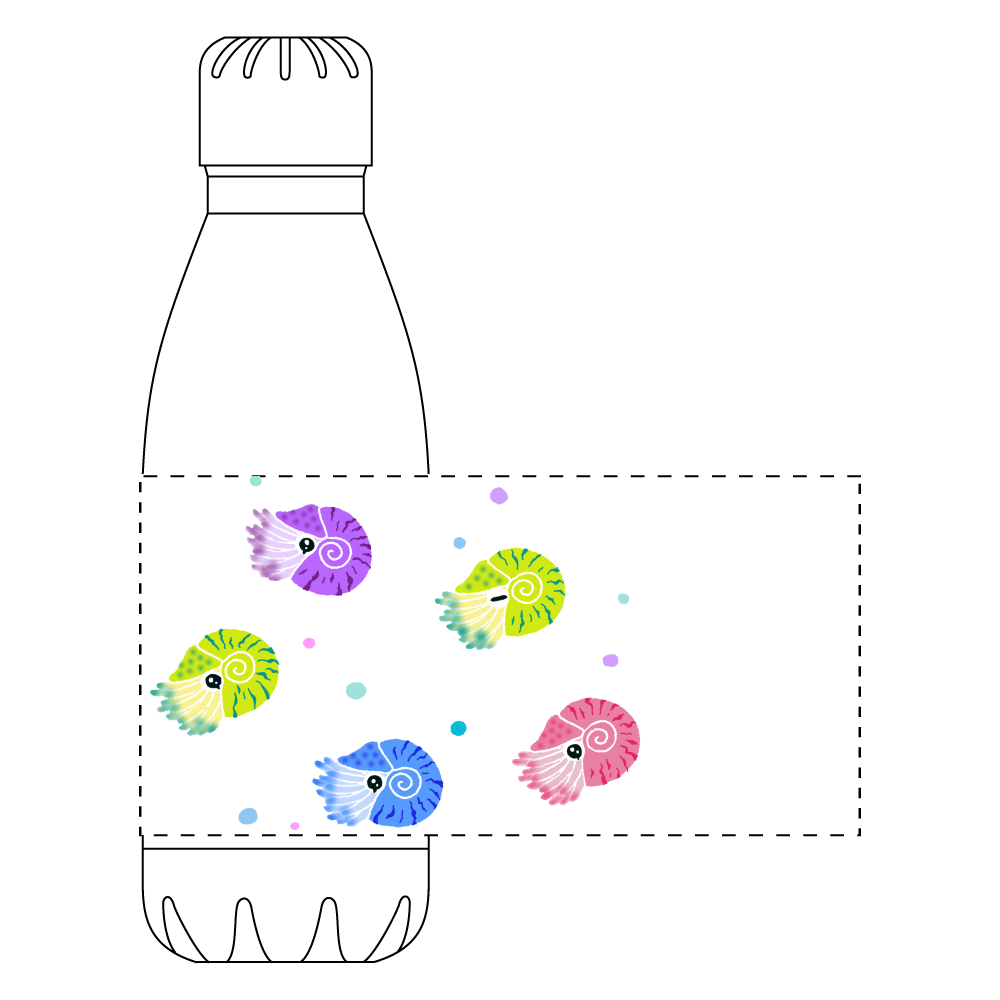 オウムガイいっぱい