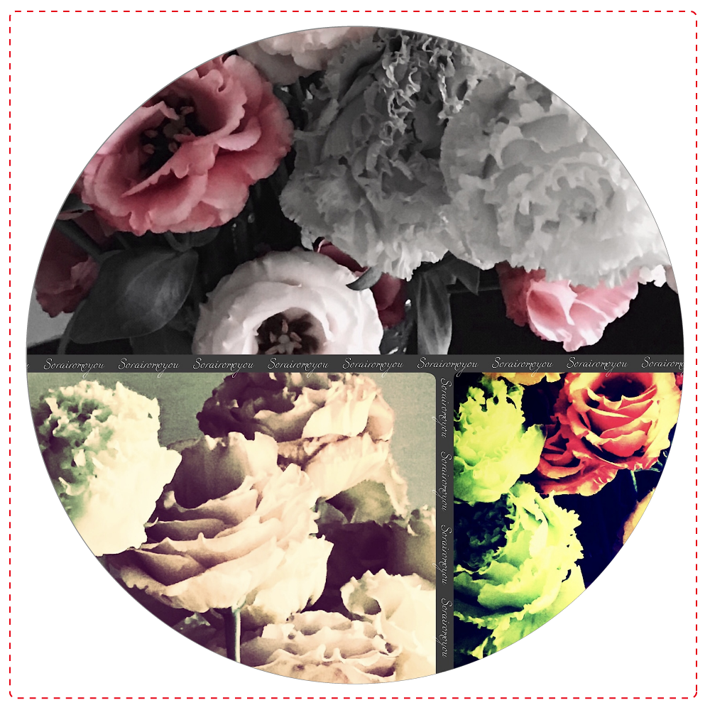 大人可愛いシックな花柄