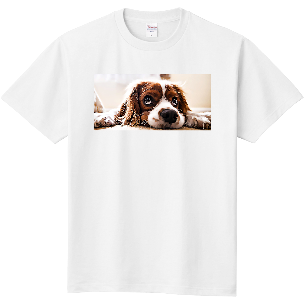 「2022年10月30日 09:51」に作成したデザイン