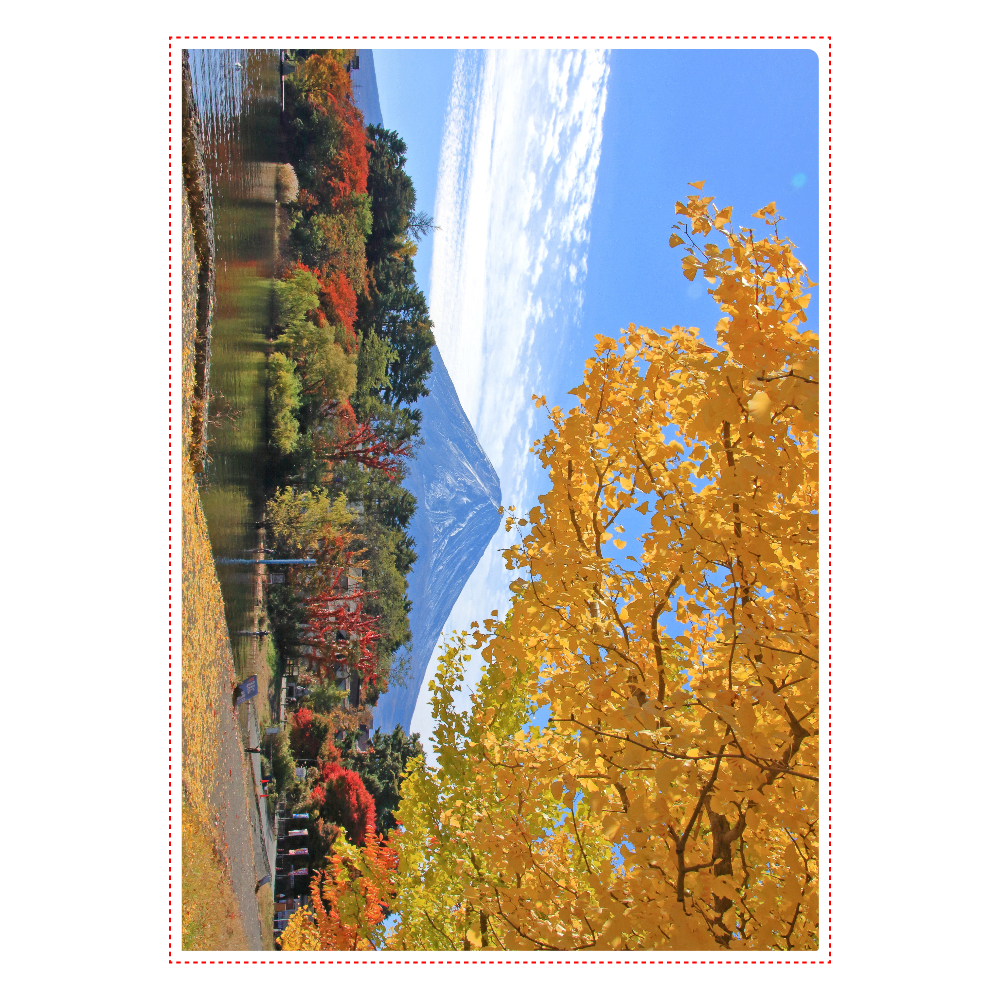 富士山とイチョウ - Mt. Fuji and ginkgo trees -