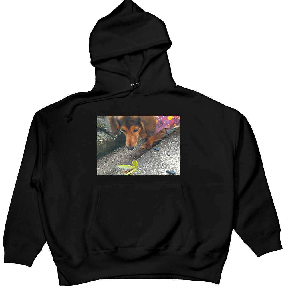 「2022年11月26日 09:26」に作成したデザイン