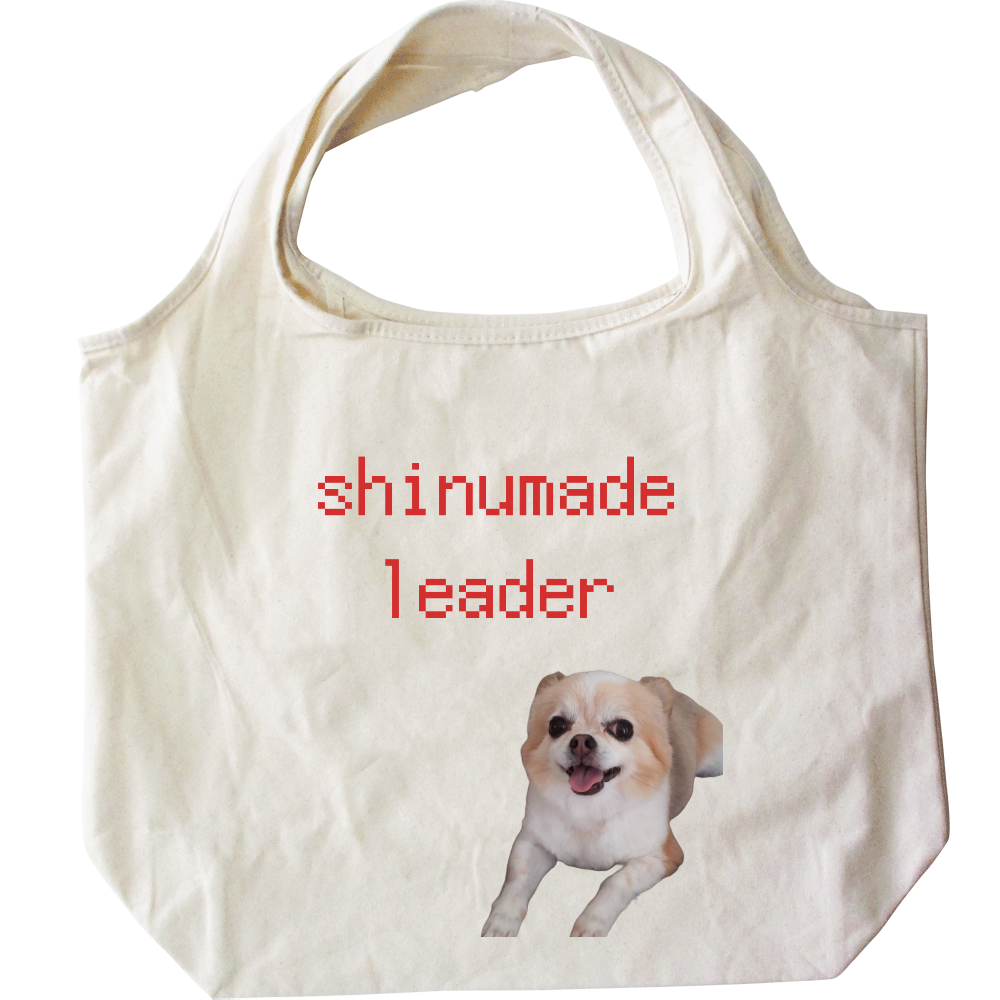 死ぬまでリーダー　エコバッグ(ローマ字ver)