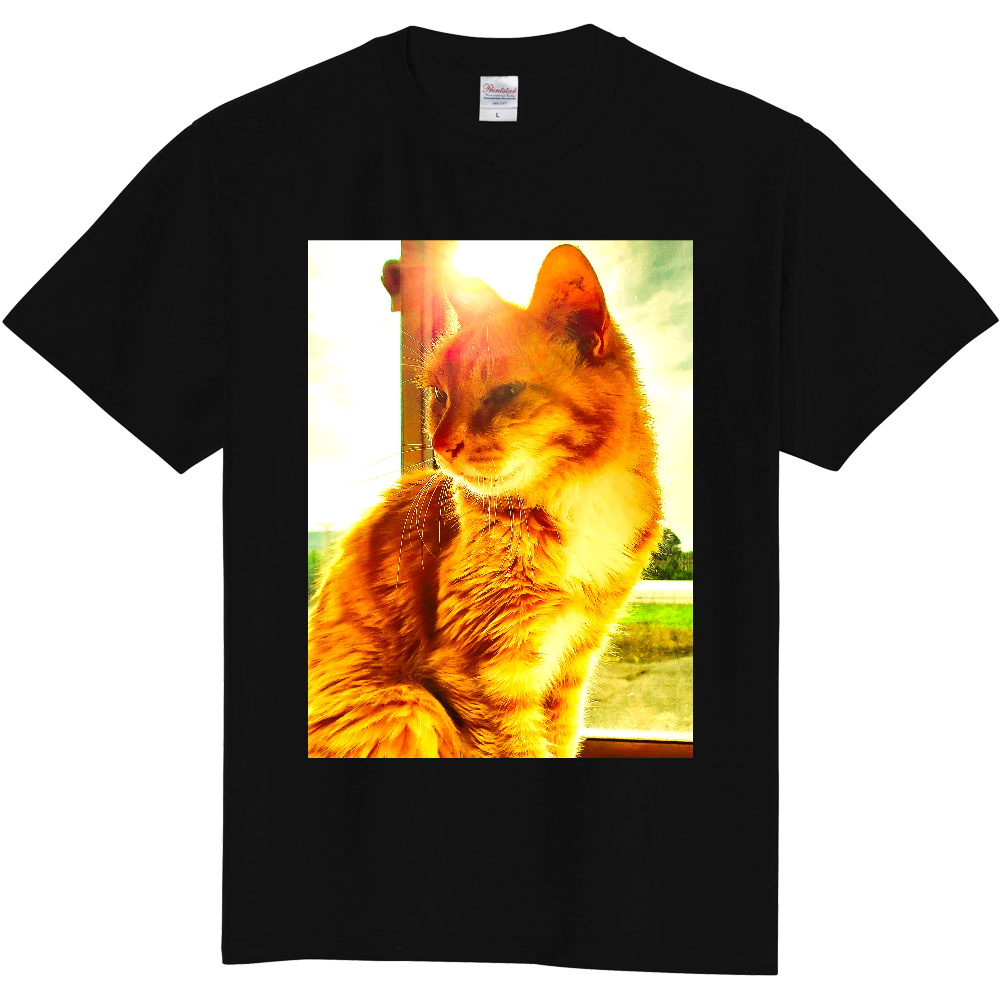 猫Tシャツ