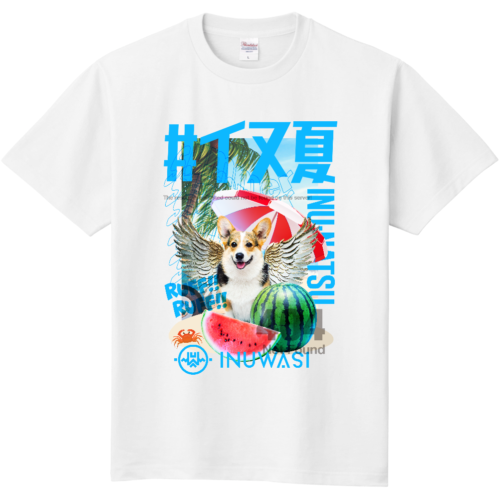 wind and sea 店舗限定キッズtシャツ 130-
