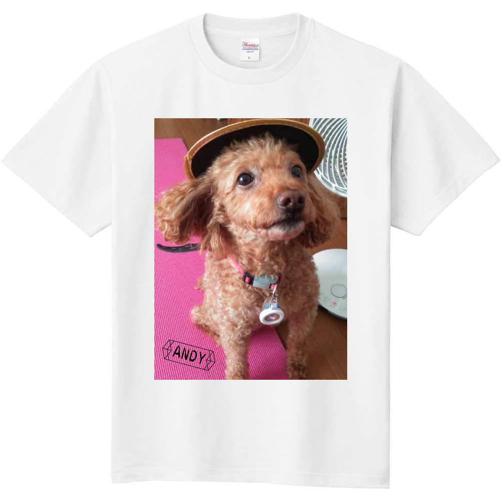 【シダ母向け(?)】アンディTイーチカラー