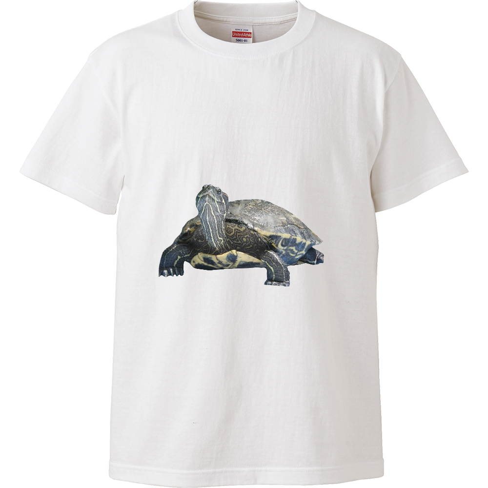 カメが好きな人の為のアイテム