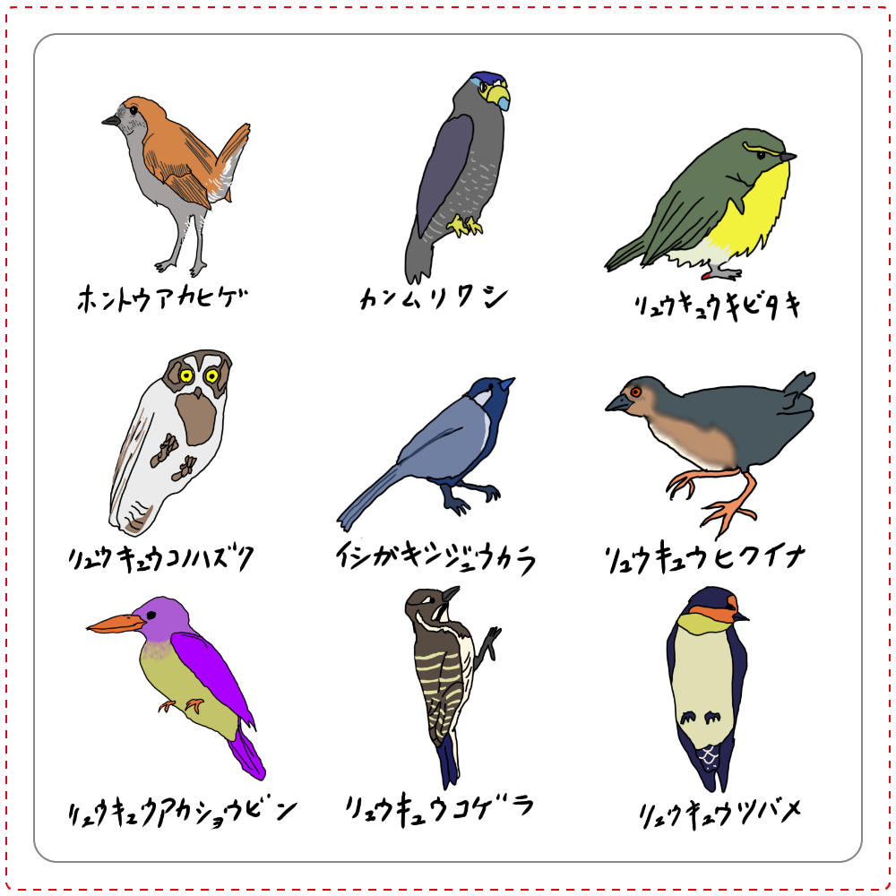 沖縄の鳥図鑑-白雲石コースター　(四角)