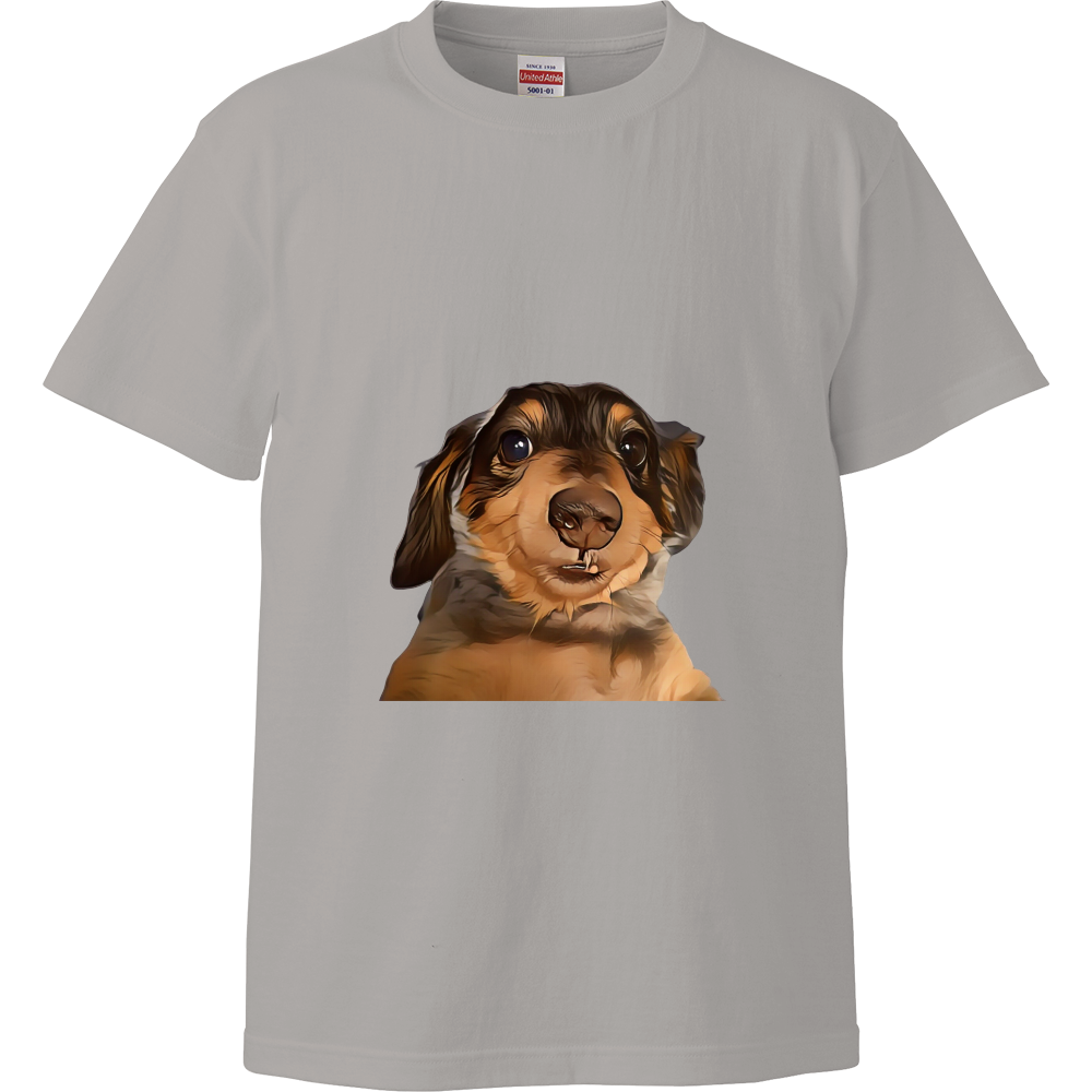 pal（palのハイクオリティーTシャツ）
