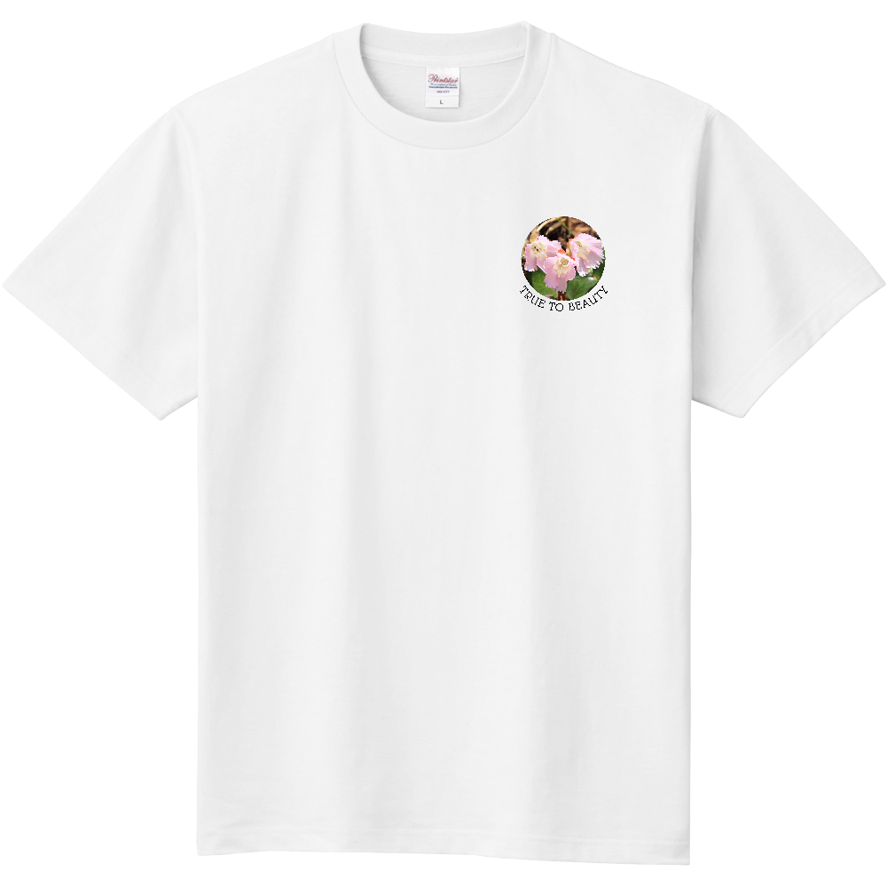 イワカガミ true to beauty 定番Ｔシャツ|オリジナルTシャツのUP-T